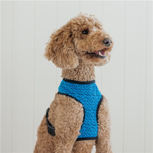 42069 42076 93825 93832